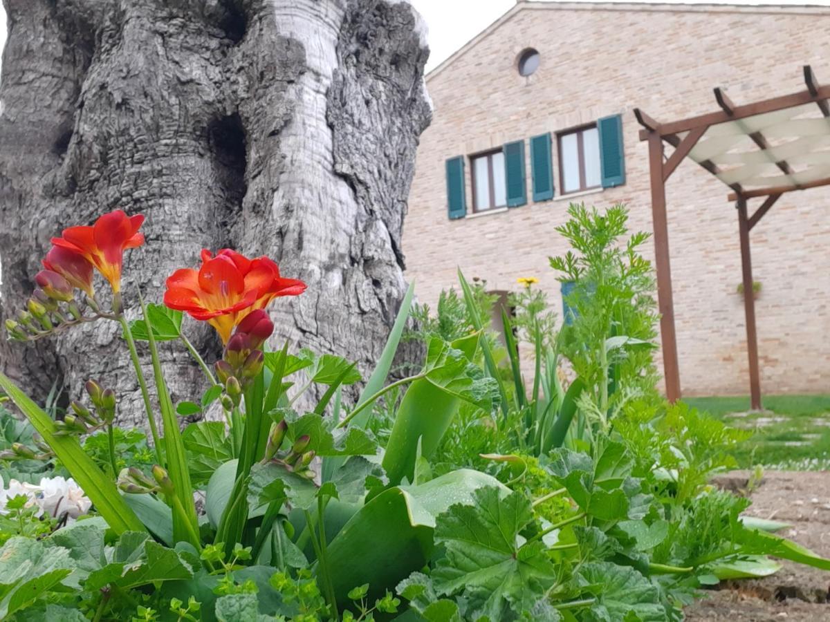 Casale Del Conero Apart otel Porto Recanati Dış mekan fotoğraf